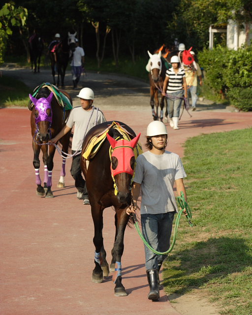 2007年8月26日(日) 高知競馬_a0077663_21392615.jpg