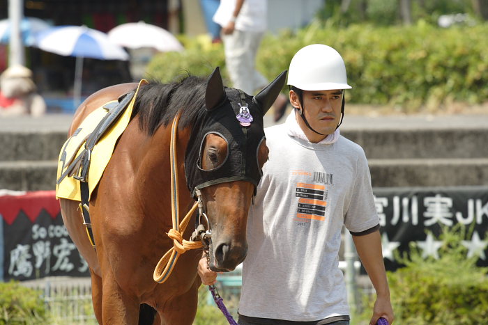 2007年8月26日(日) 高知競馬 3R_a0077663_22284598.jpg