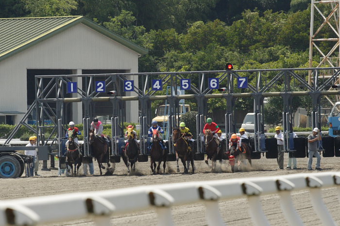 2007年8月26日（日） 高知競馬 3R_a0077663_22293080.jpg
