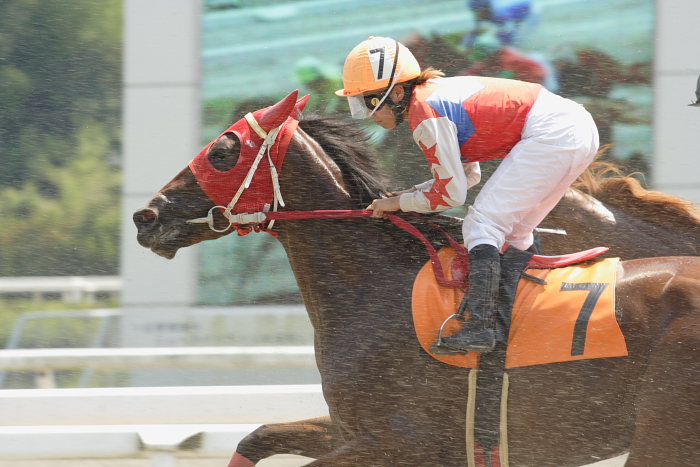 2007年8月26日（日） 高知競馬 3R_a0077663_2229515.jpg