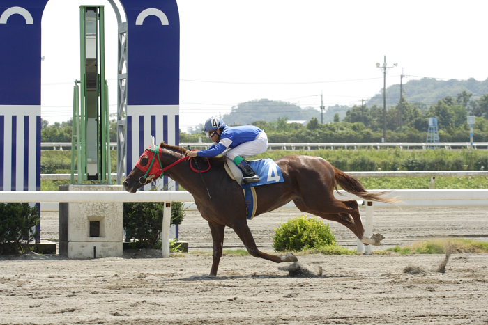 2007年8月26日(日) 高知競馬 3R_a0077663_22301959.jpg