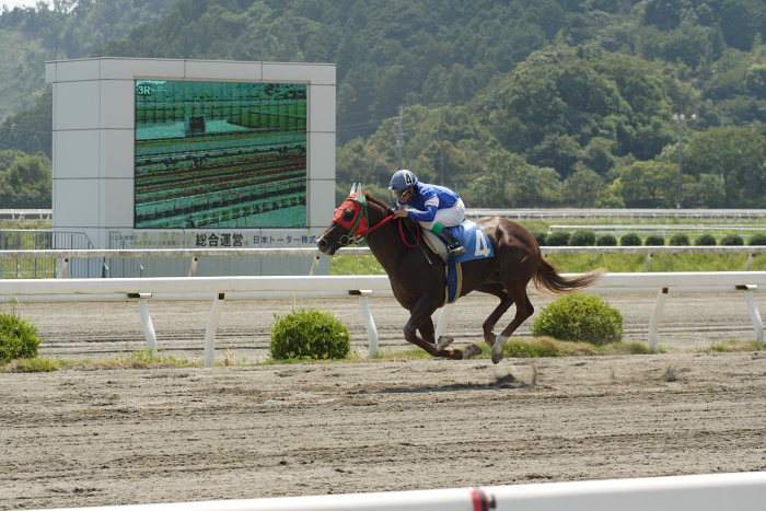 2007年8月26日（日） 高知競馬 3R_a0077663_2230594.jpg