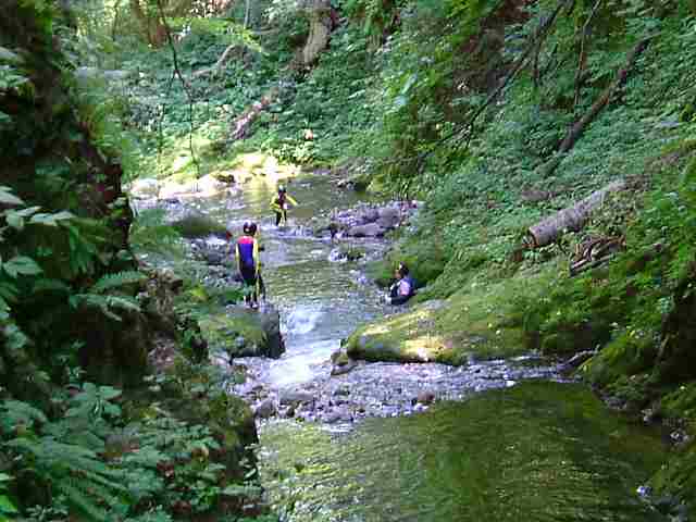 e0122168_16555448.jpg