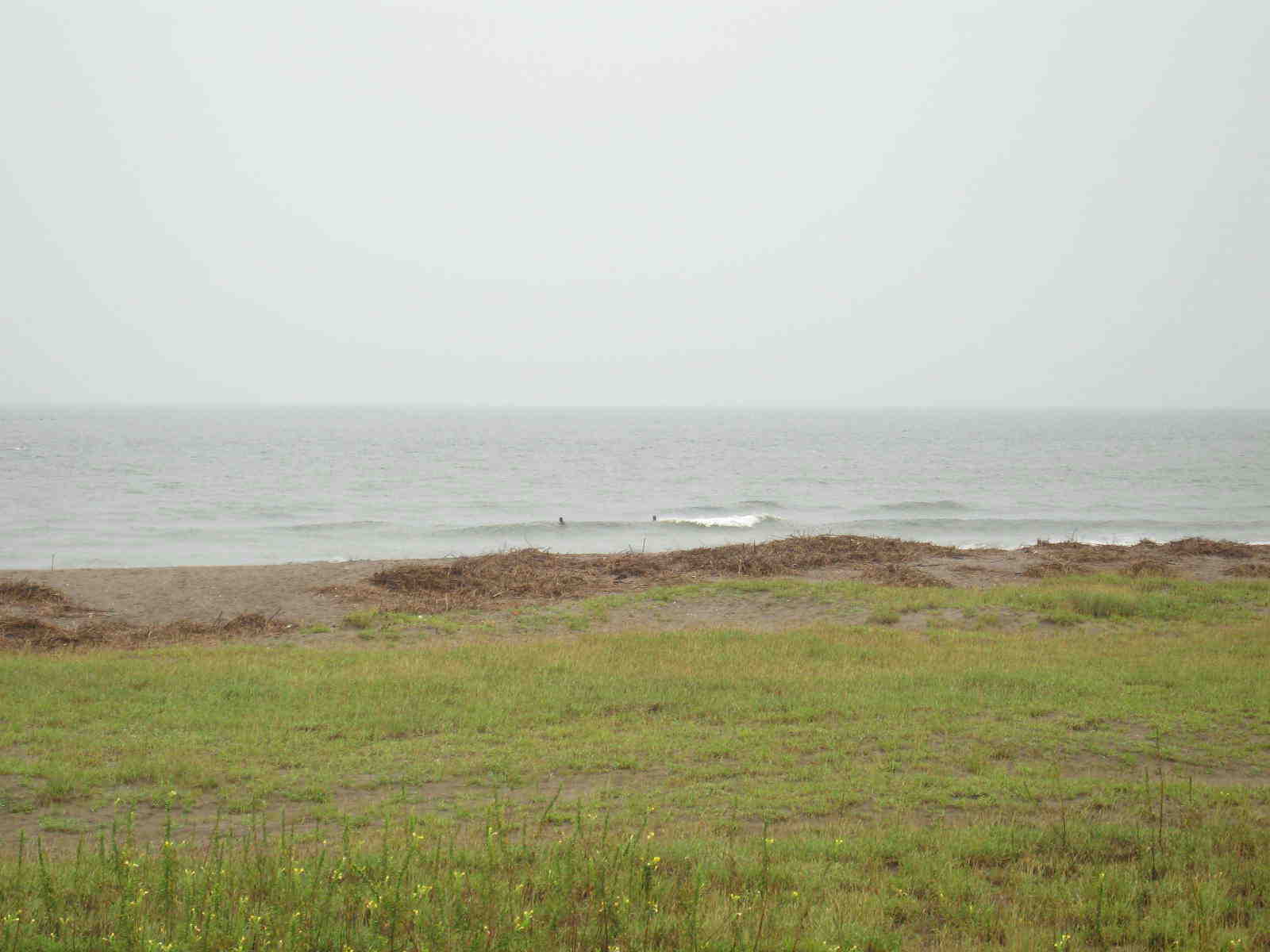 d0085470_16513672.jpg