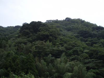 曇り空_a0077071_18273025.jpg