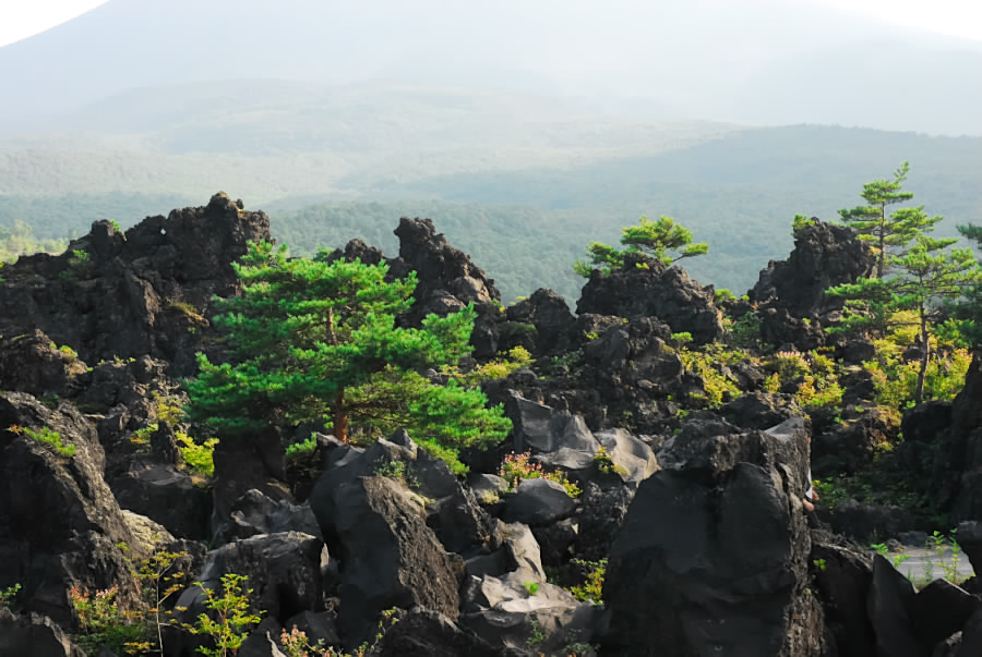 夏休み8　鬼押し出し_a0086773_19395248.jpg