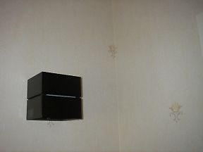 c0096287_15551158.jpg
