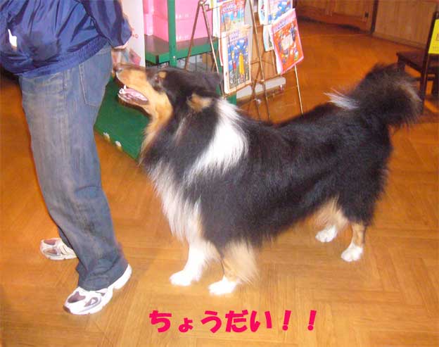 e0018604_2130760.jpg