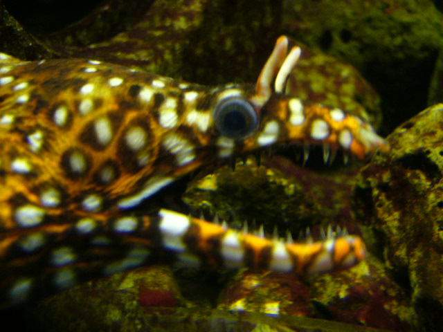 e0015108_8143646.jpg
