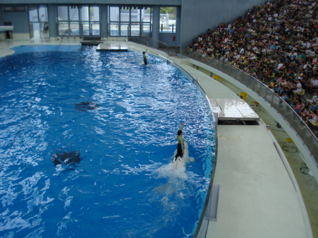 e0015108_8241456.jpg