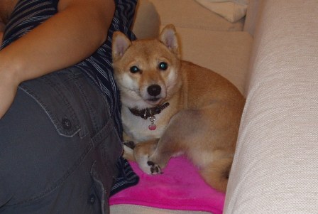 f0004309_22264299.jpg