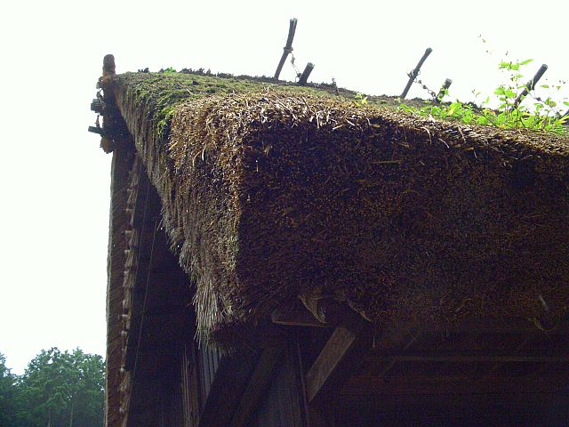 雨の中の飛騨の里　３_c0036317_19405353.jpg