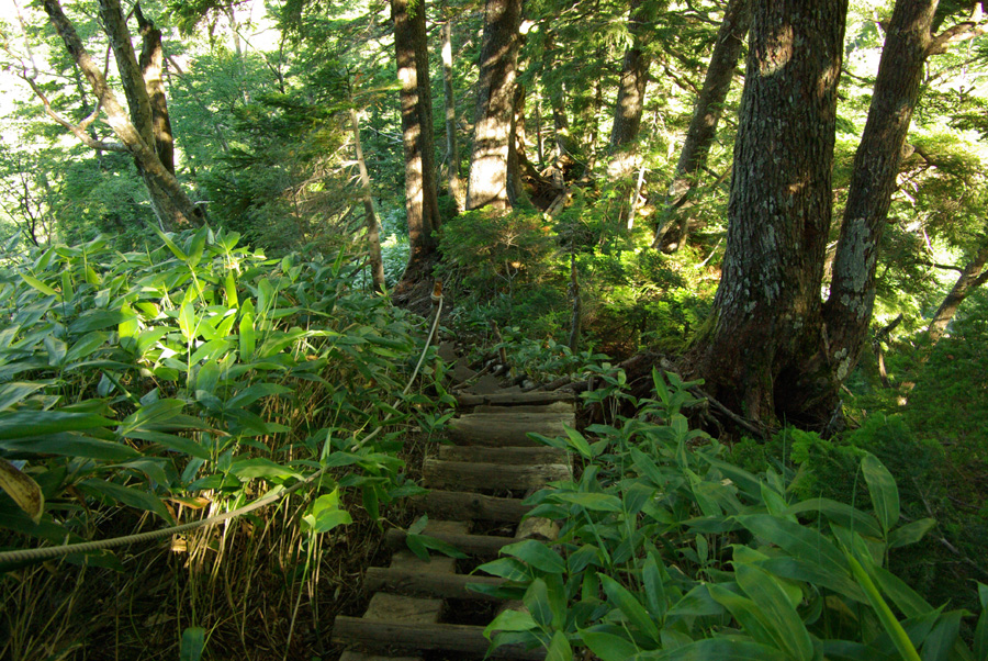 b0062024_811154.jpg