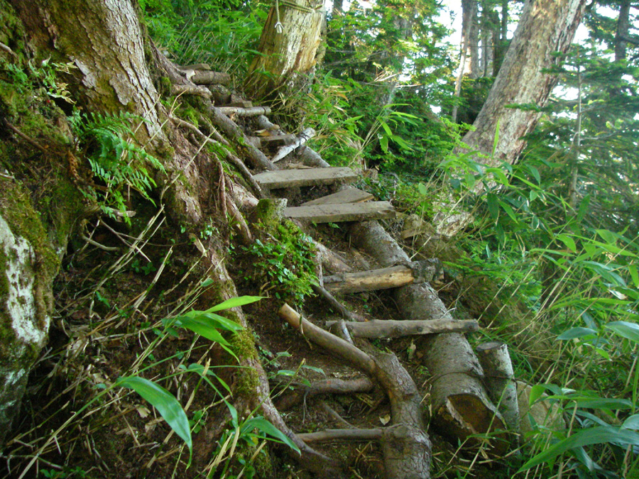 b0062024_8132542.jpg