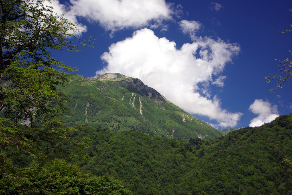 b0062024_8443695.jpg