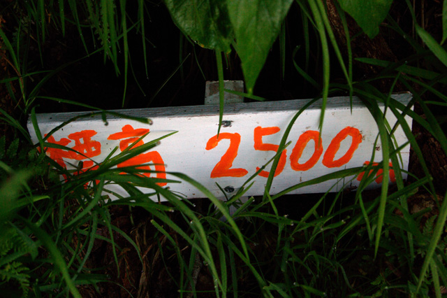 b0062024_875511.jpg
