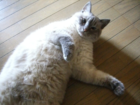 びっぐにゅーす(^m^)_c0006826_2192277.jpg