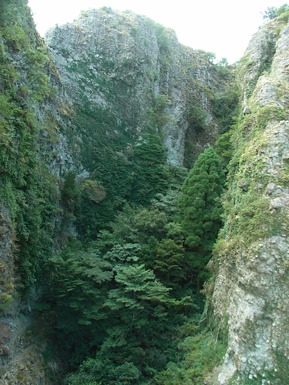 b0102639_11194115.jpg