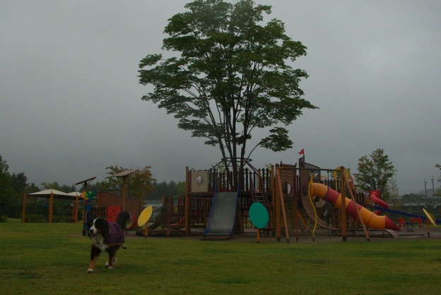 e0121641_10515298.jpg