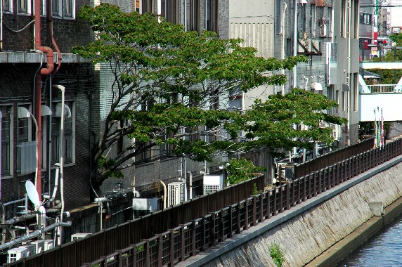 　　川のある風景_b0093754_0205090.jpg