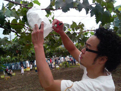 b0037160_21533628.gif