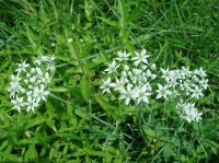 c0108460_17291489.jpg