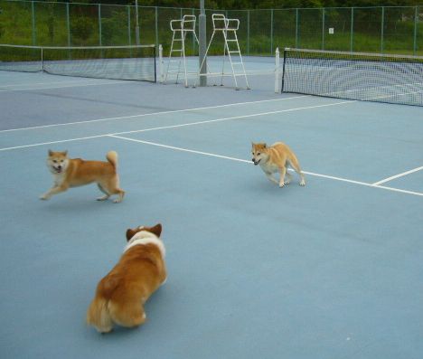 2007年9月1日(土)9月です、涼しいです!_f0060461_104364.jpg