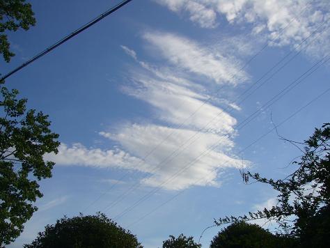 a0093566_12161433.jpg