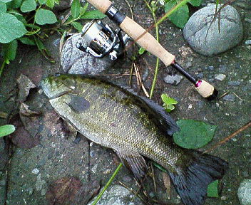 釣果_a0040876_21463956.jpg