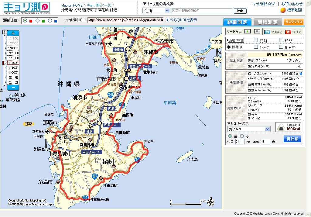 100kmの遠回り_f0065676_17321537.jpg