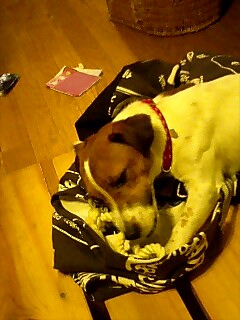 e0054290_1514920.jpg