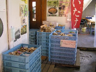 a0067991_1101010.jpg