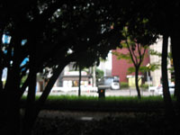 e0093096_2014899.jpg