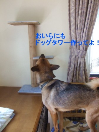 b0087400_23165510.jpg