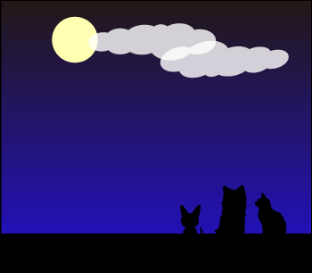 a0041108_23582987.gif