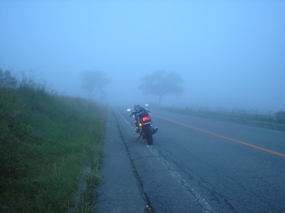 d0115409_22433579.jpg