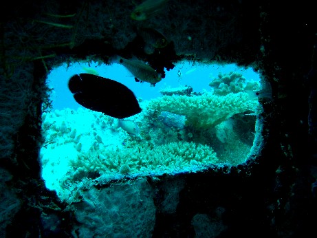 f0043911_1644420.jpg