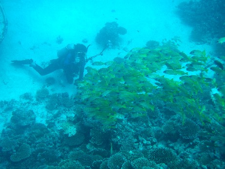 f0043911_1645999.jpg