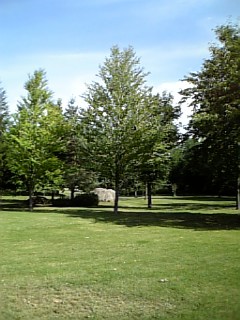 d0111435_17192568.jpg