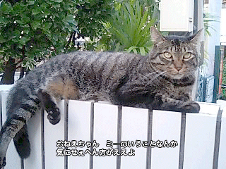 f0116546_2312445.gif