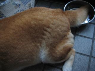 せっかく大阪に。。。_c0049950_0174657.jpg