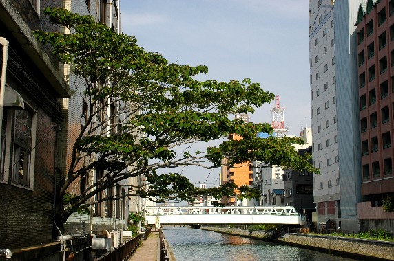 　　川のある風景_b0093754_034232.jpg