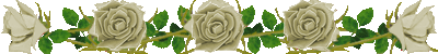 e0064158_115482.gif