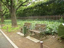 思い出の場所。_a0052863_0533128.jpg
