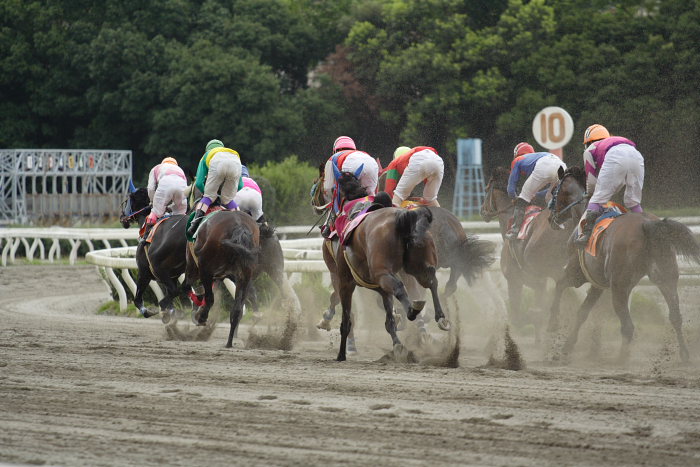 2007年9月1日（土） 高知競馬 8R レース_a0077663_726046.jpg