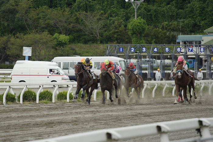 2007年9月1日（土） 高知競馬 8R レース_a0077663_7261020.jpg