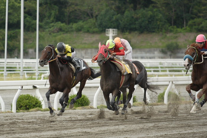 2007年9月1日（土） 高知競馬 8R レース_a0077663_7262139.jpg