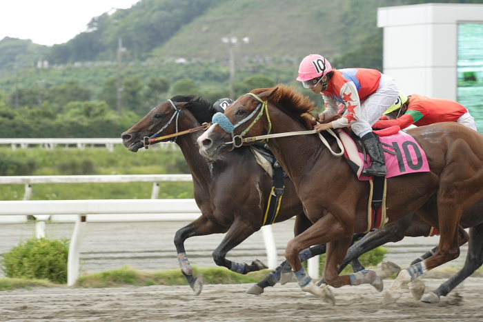 2007年9月1日（土） 高知競馬 8R レース_a0077663_7263098.jpg