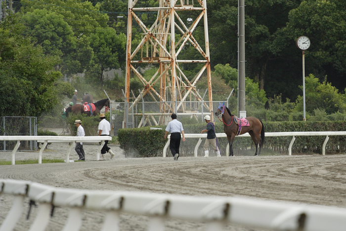 2007年9月1日（土） 高知競馬 8R レース_a0077663_7271068.jpg