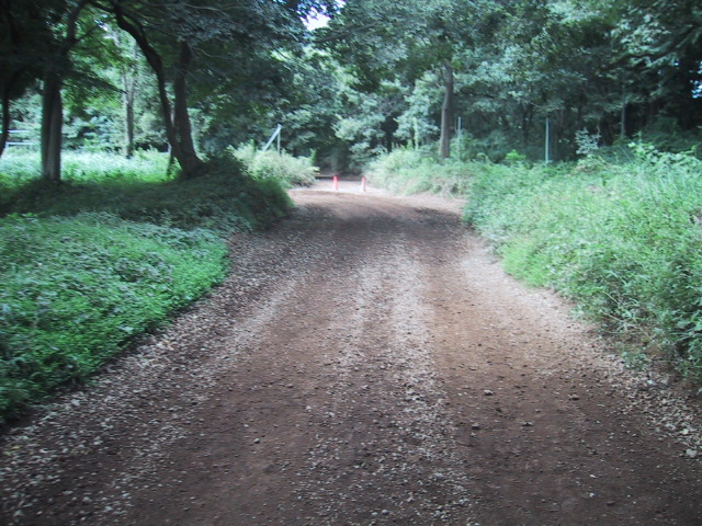 f0139466_19525762.jpg